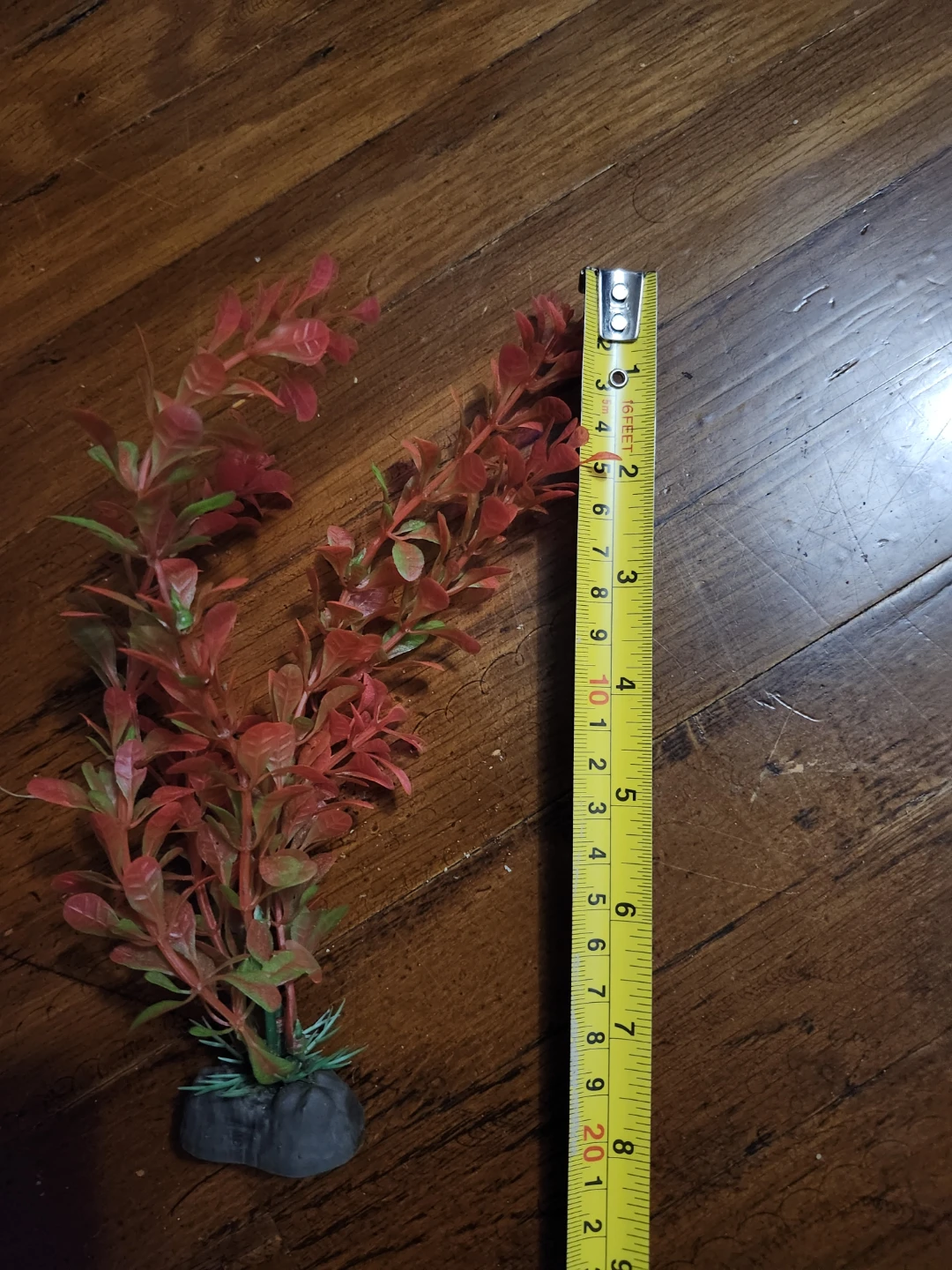 Aquarium Plant Decoration