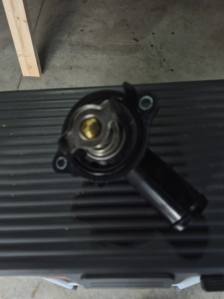 Auto Thermostat - Black housing - photo 2