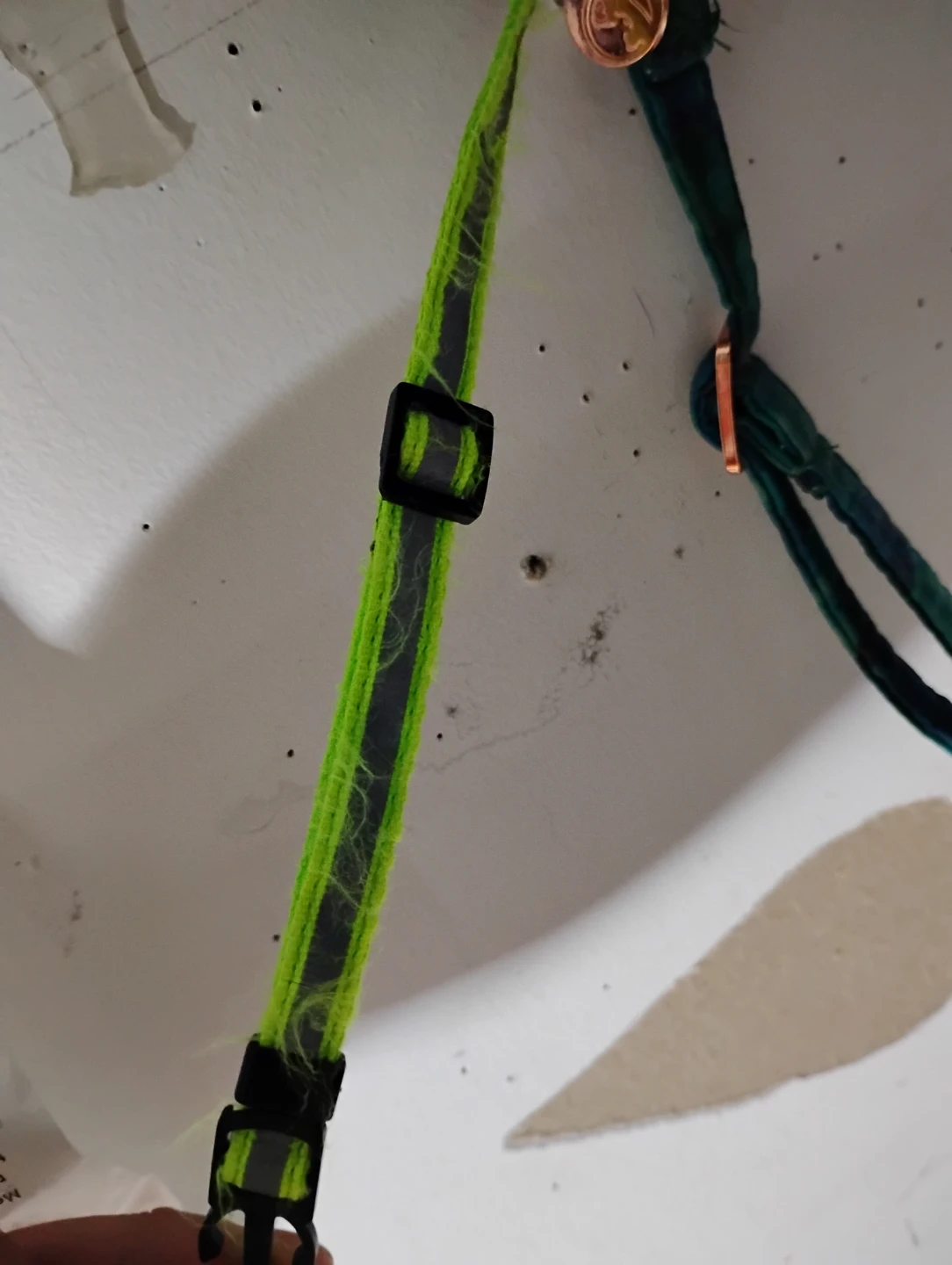 Bright Green Reflective Pet Collar