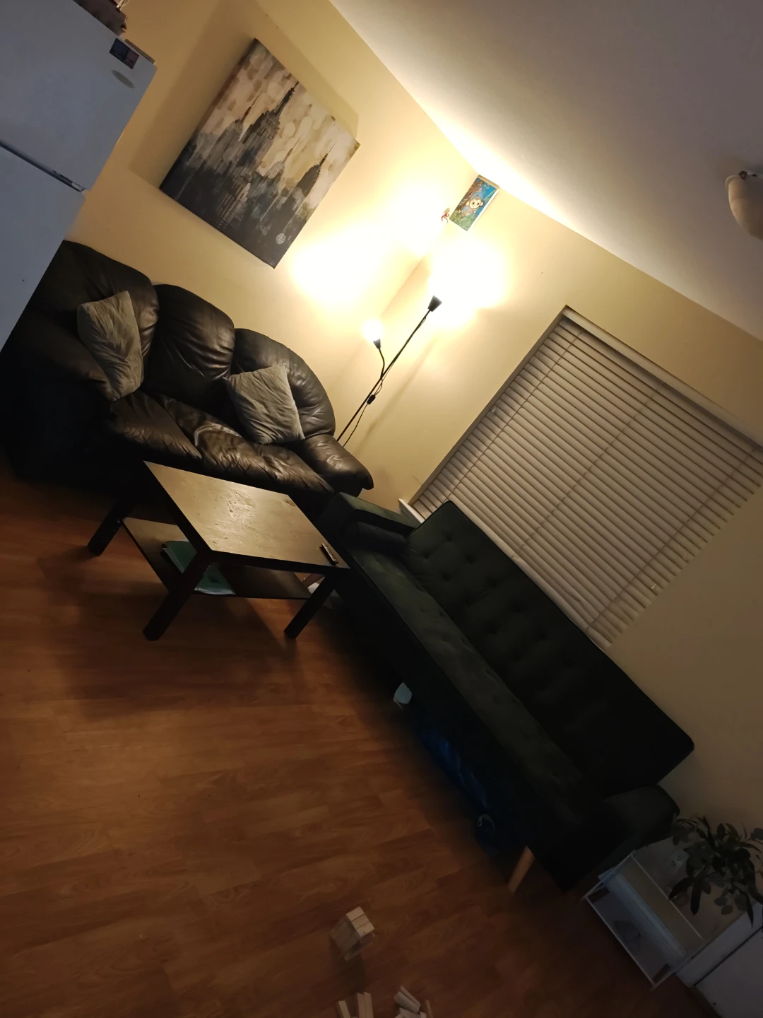 Black Couch and green sofa cum bed