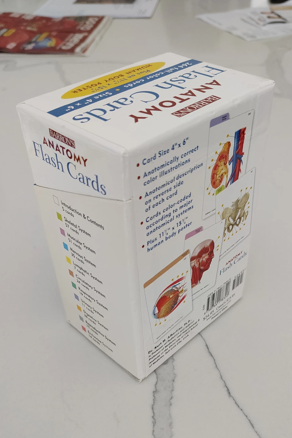 Anatomy flash cards - photo 3
