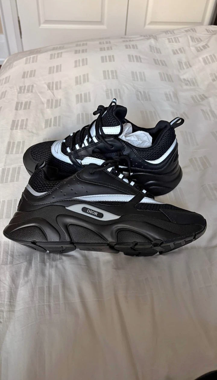 Dior B22