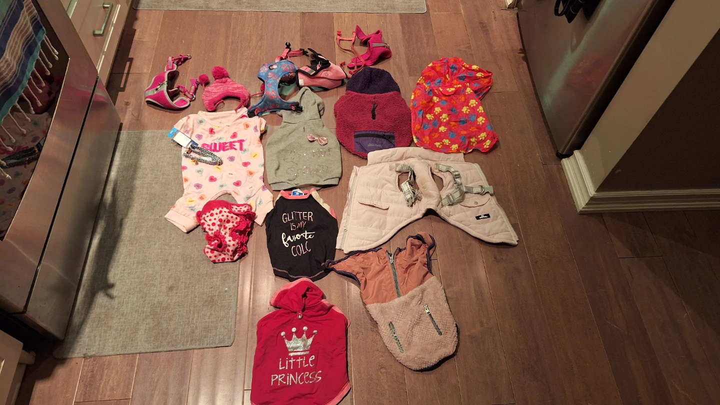 Dog Clothes Bundle: Harness, Outfits, XS-M