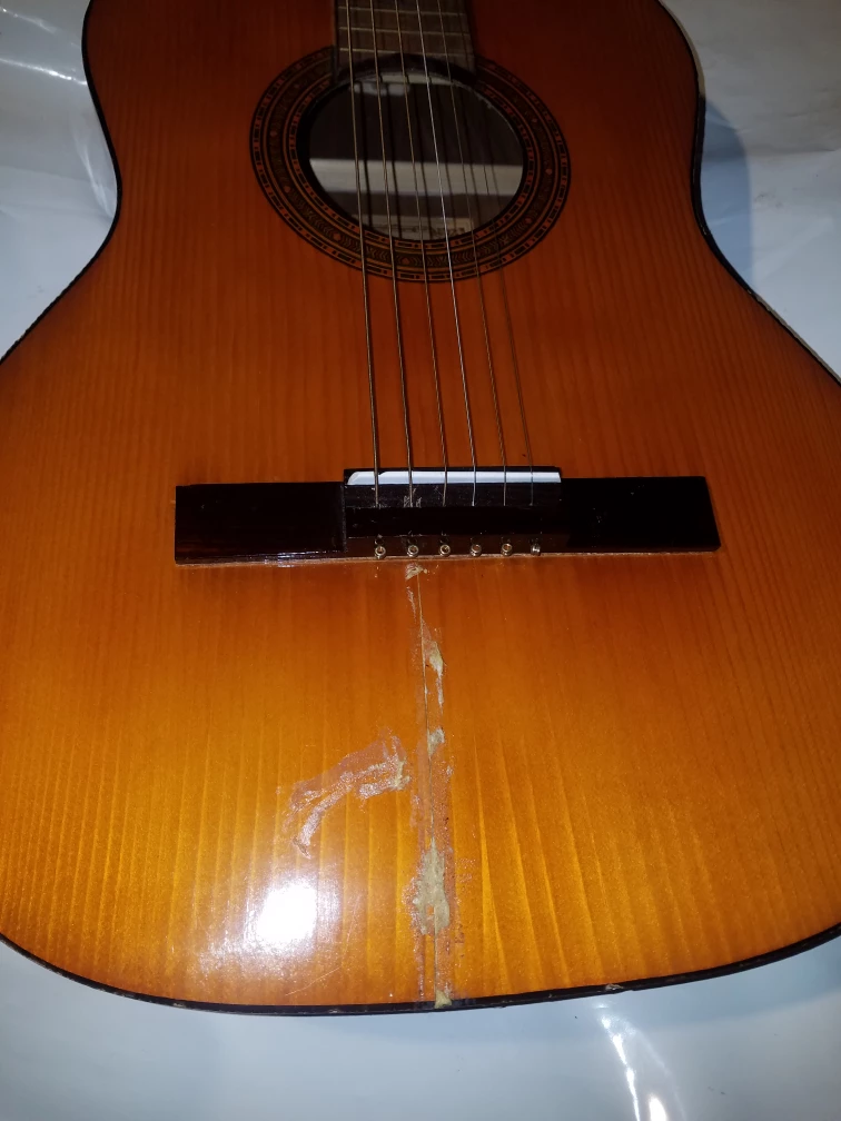 ALEX Acoustic Guitar Model ACL-1M - photo 2