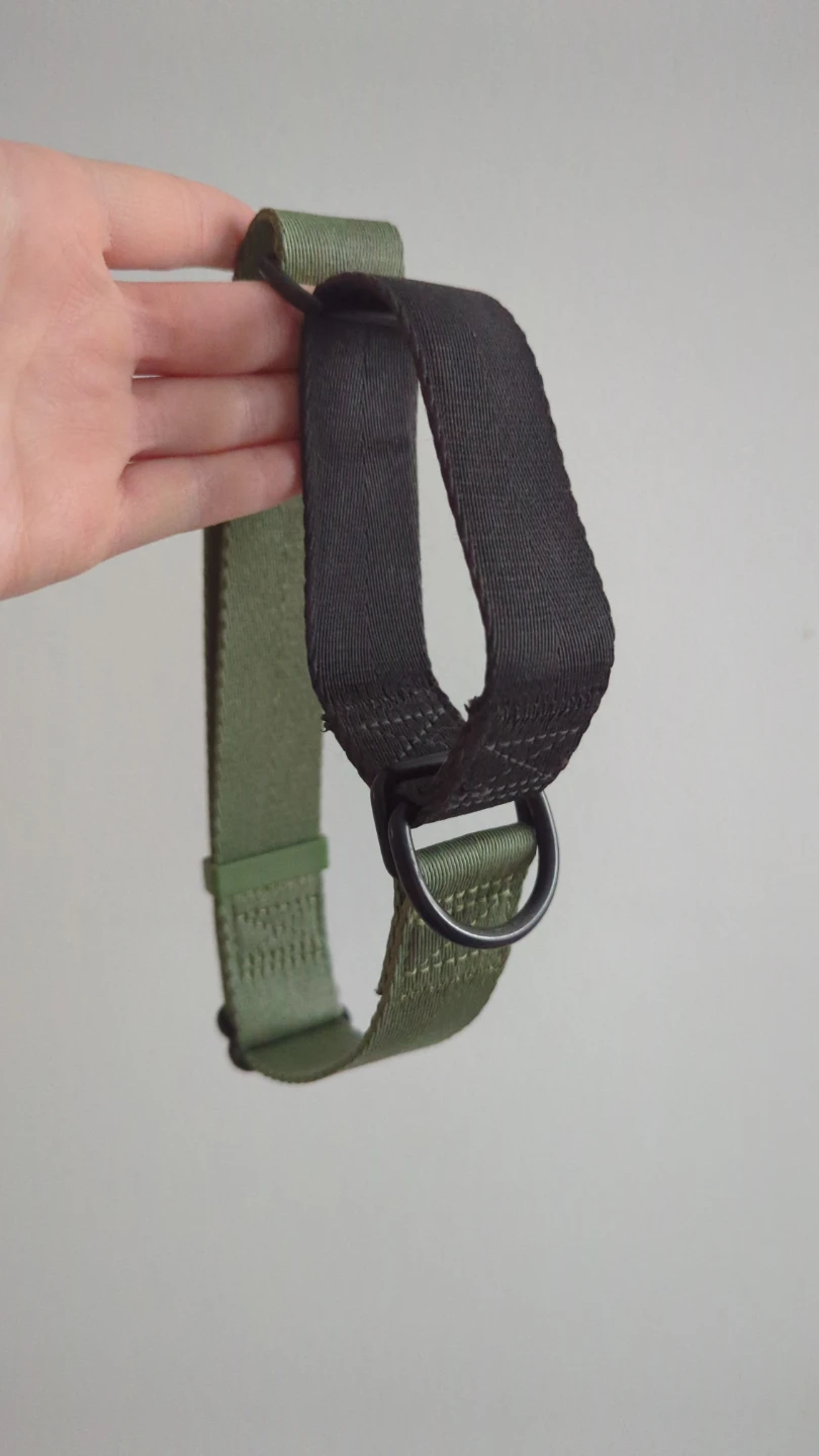 Adjustable Martingale Dog Collar - Green/Black Nylon #freecycle