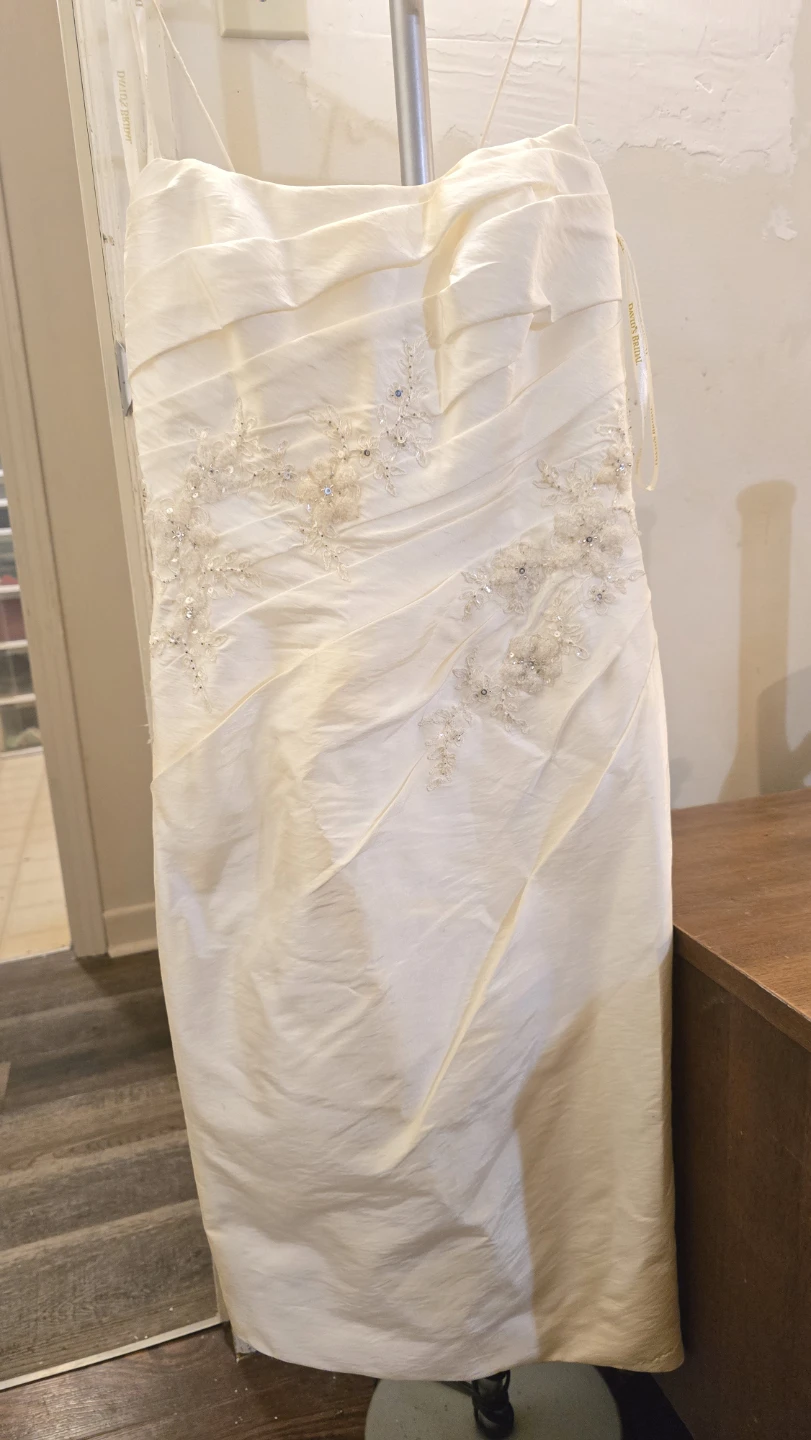 David's Bridal Dress