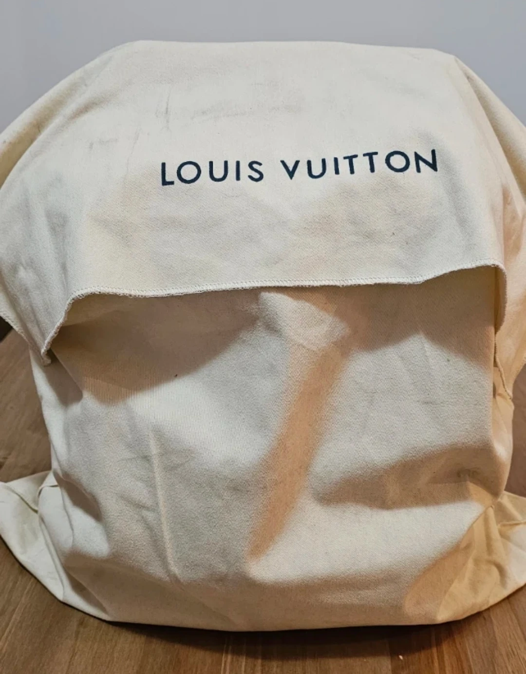 Louis Vuitton Damier Infini Backpack - photo 4