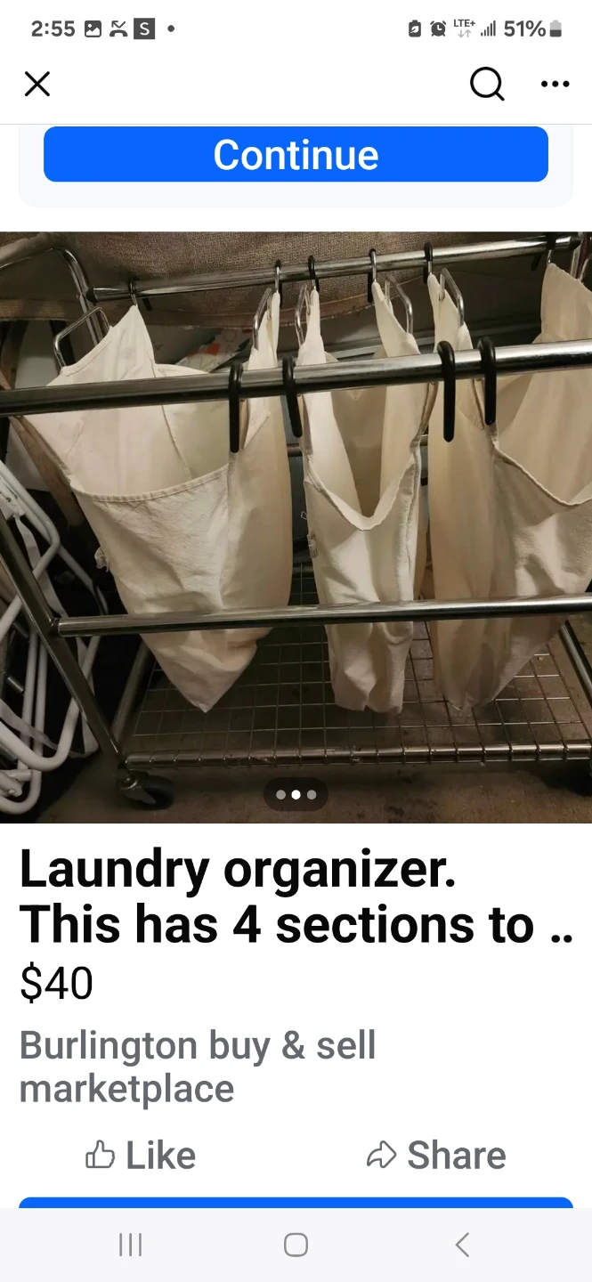 Laundry Organizer with 4 Sections