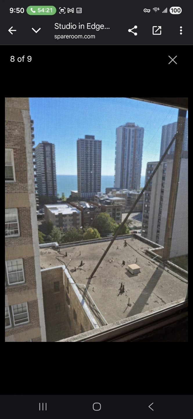 Sublet in Edgewater Gorgeous Studio - photo 2