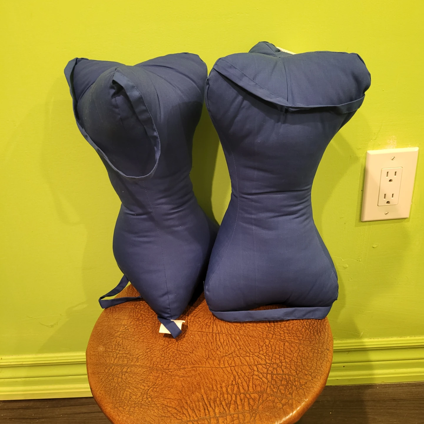 Blue Reading Pillows (Set of 2)