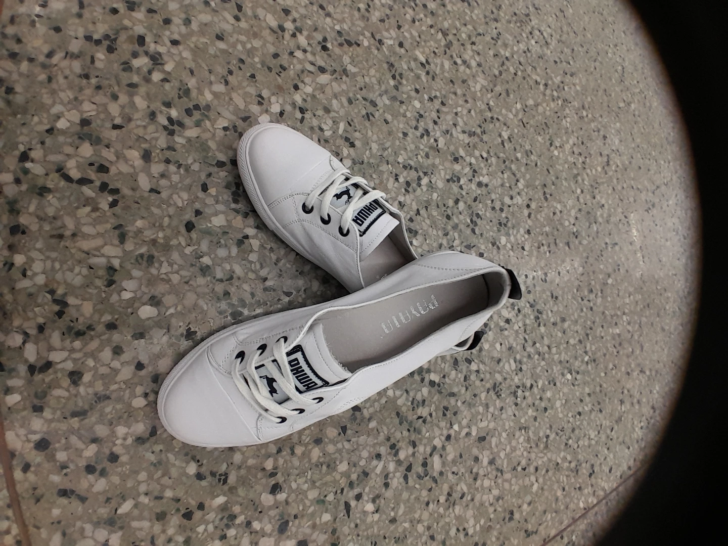 Payala White Leather Sneakers Size 8 - photo 5