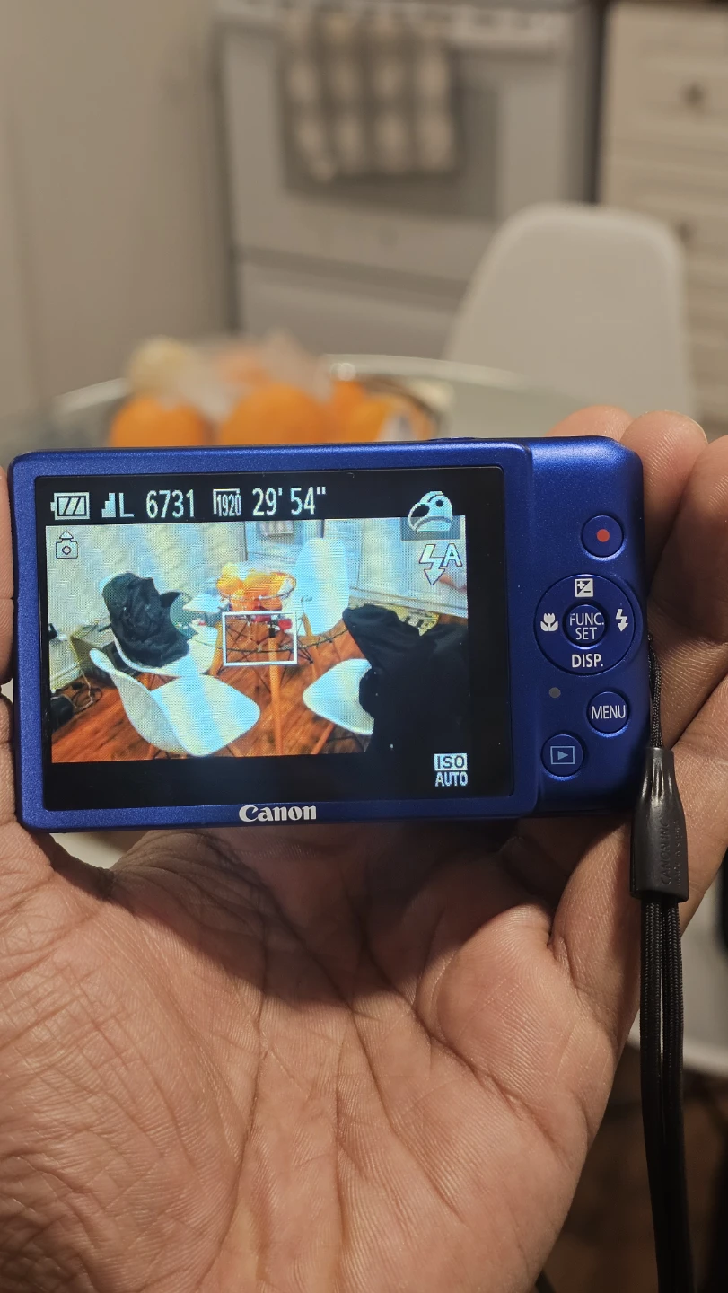 Canon PowerShot ELPH 100 HS Blue Camera - photo 2