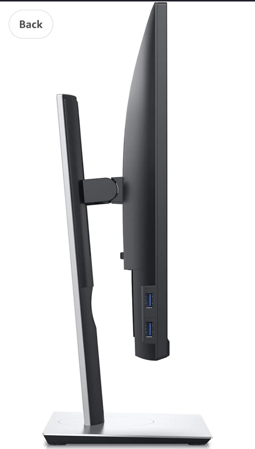 Dell 23" Monitor P2319H - photo 2
