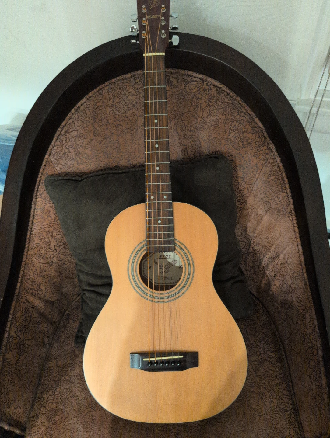 Acoustic Guitar