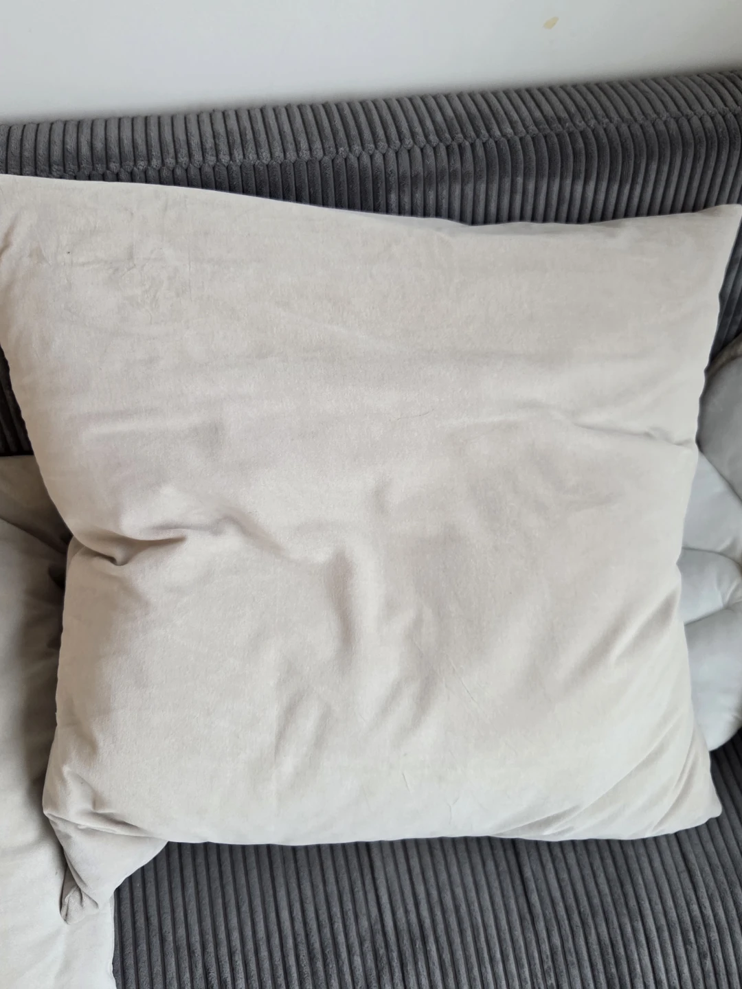 2 Large Pillows and 2 Cases - photo 2