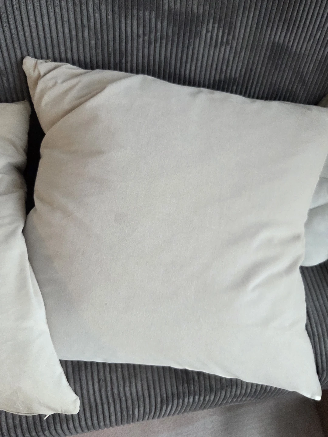 2 Large Pillows and 2 Cases - photo 3