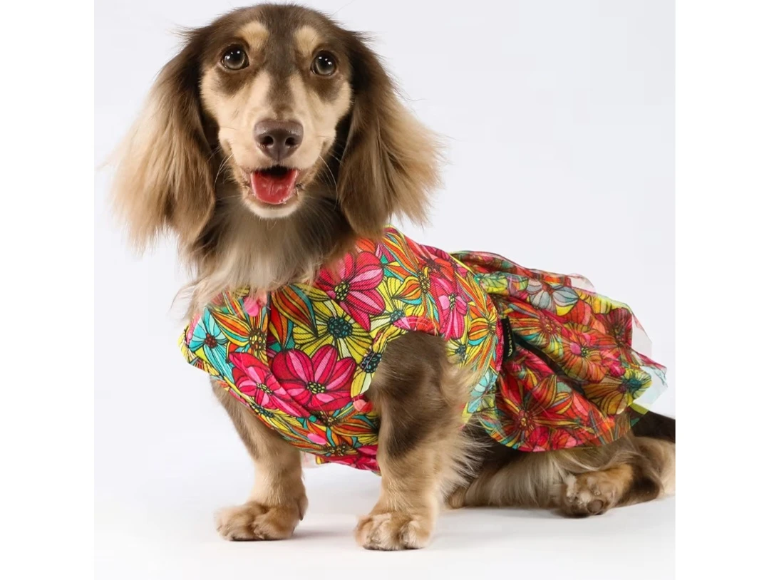 Fitwarm Floral Dog Dress with Leash - Medium