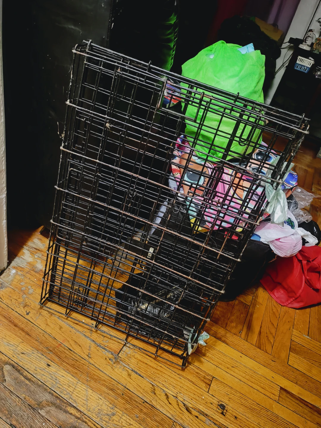 MidWest iCrate Folding Dog Crate used - photo 5