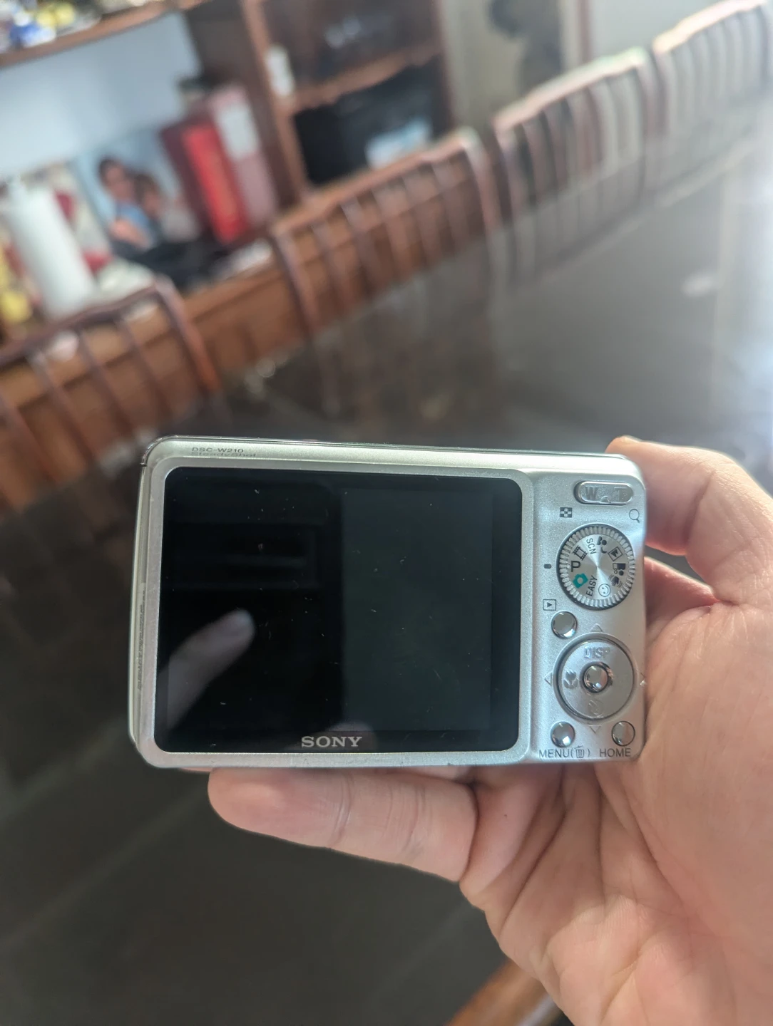 Sony Cyber-shot DSC-W210 Digital Camera - photo 3