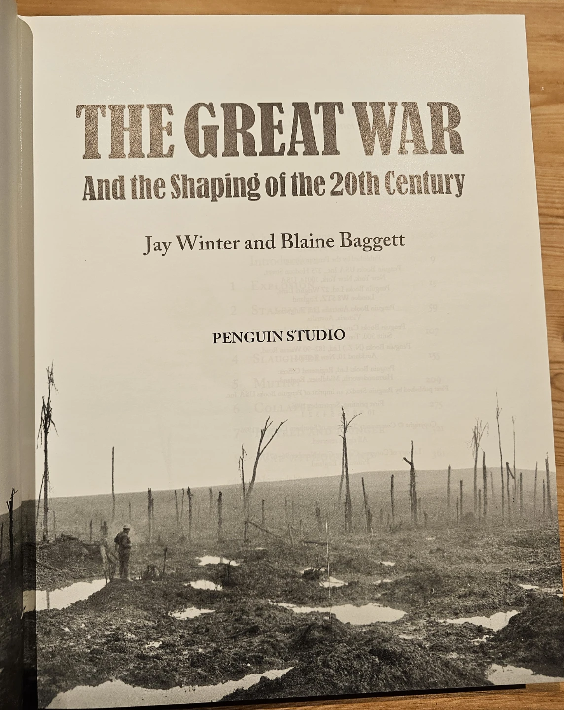 The Great War And The Shaping of the 20th Century Book - photo 4