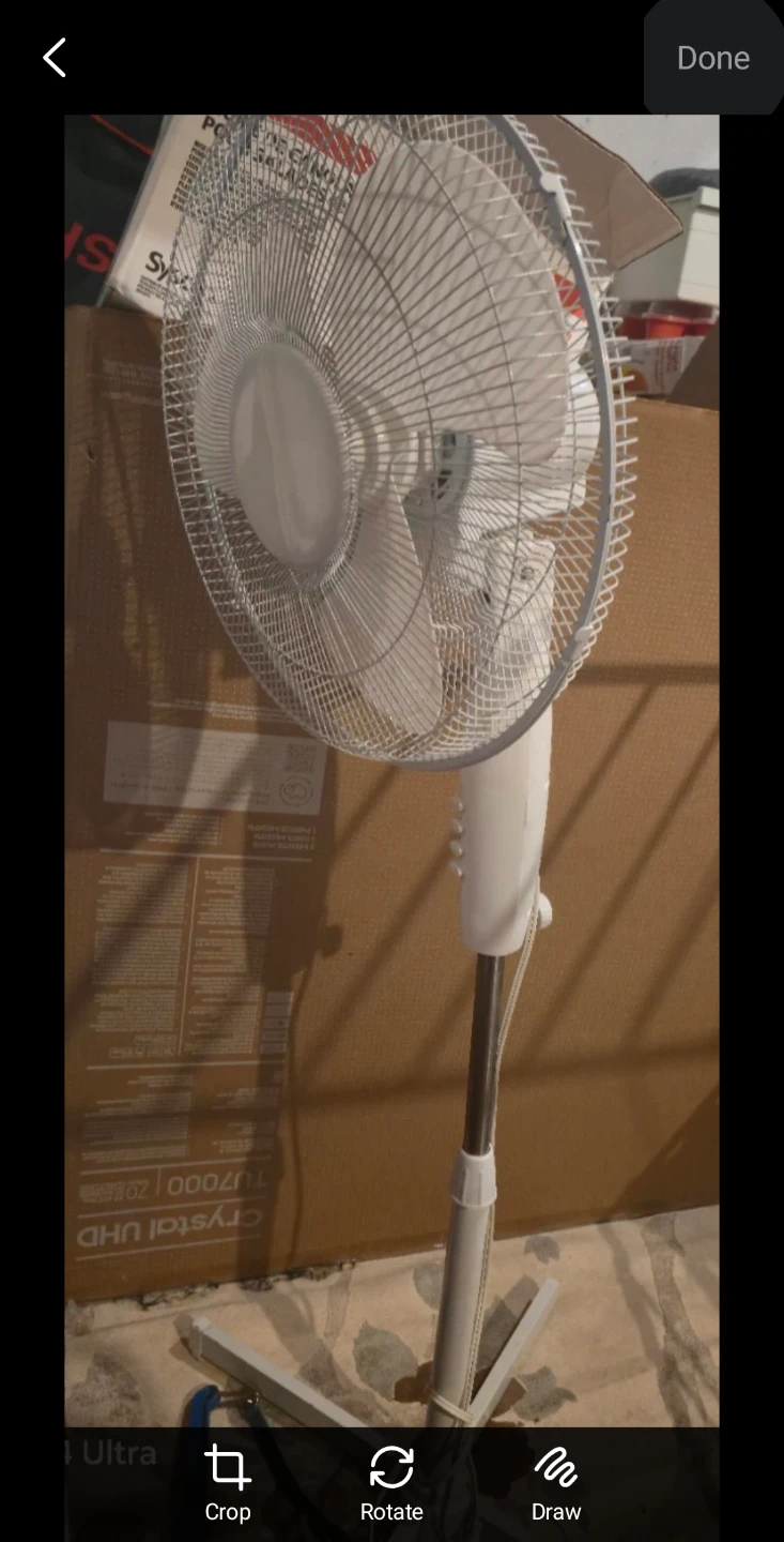 White Stand Fan