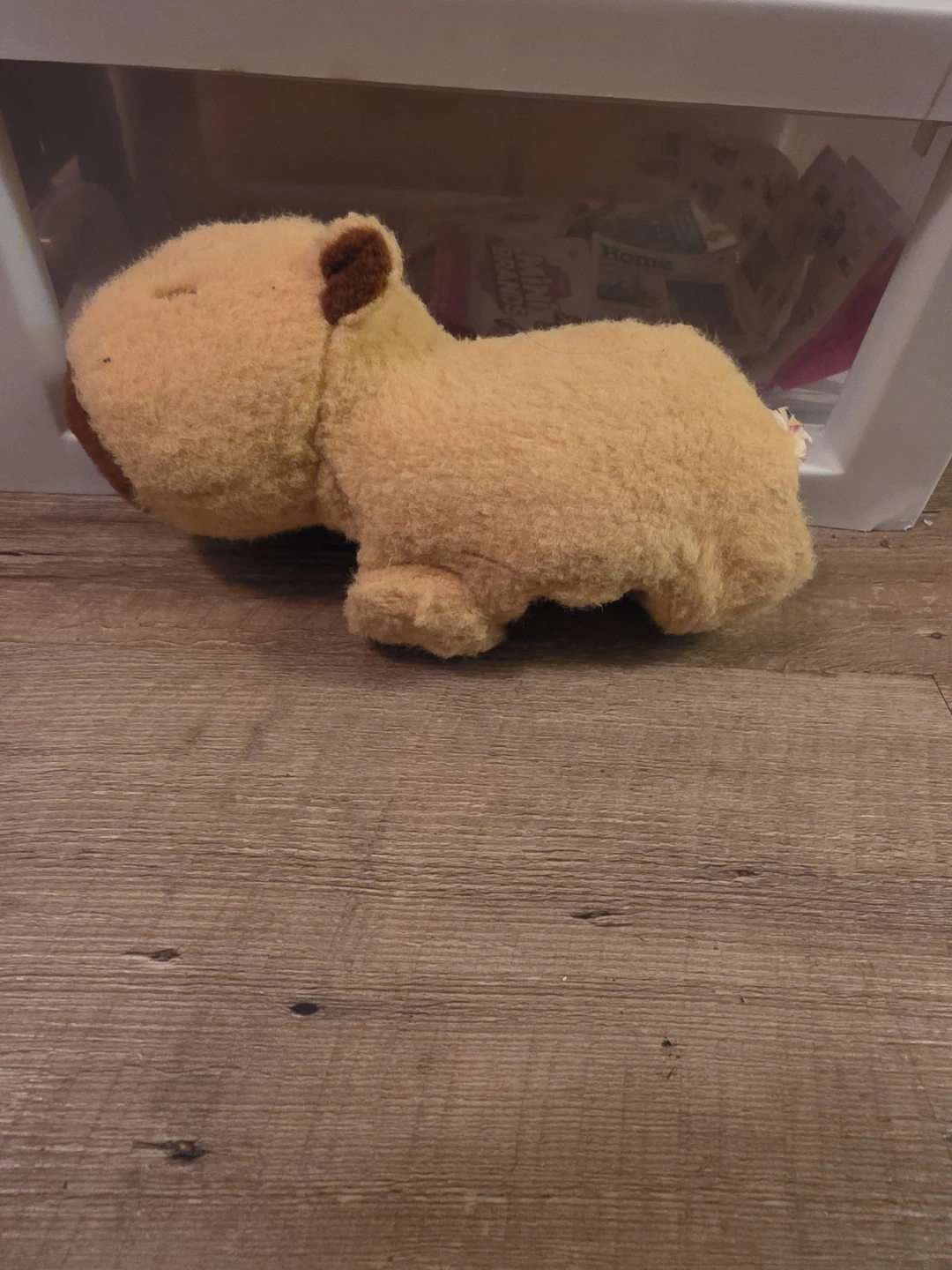 Capybara Plush Toy