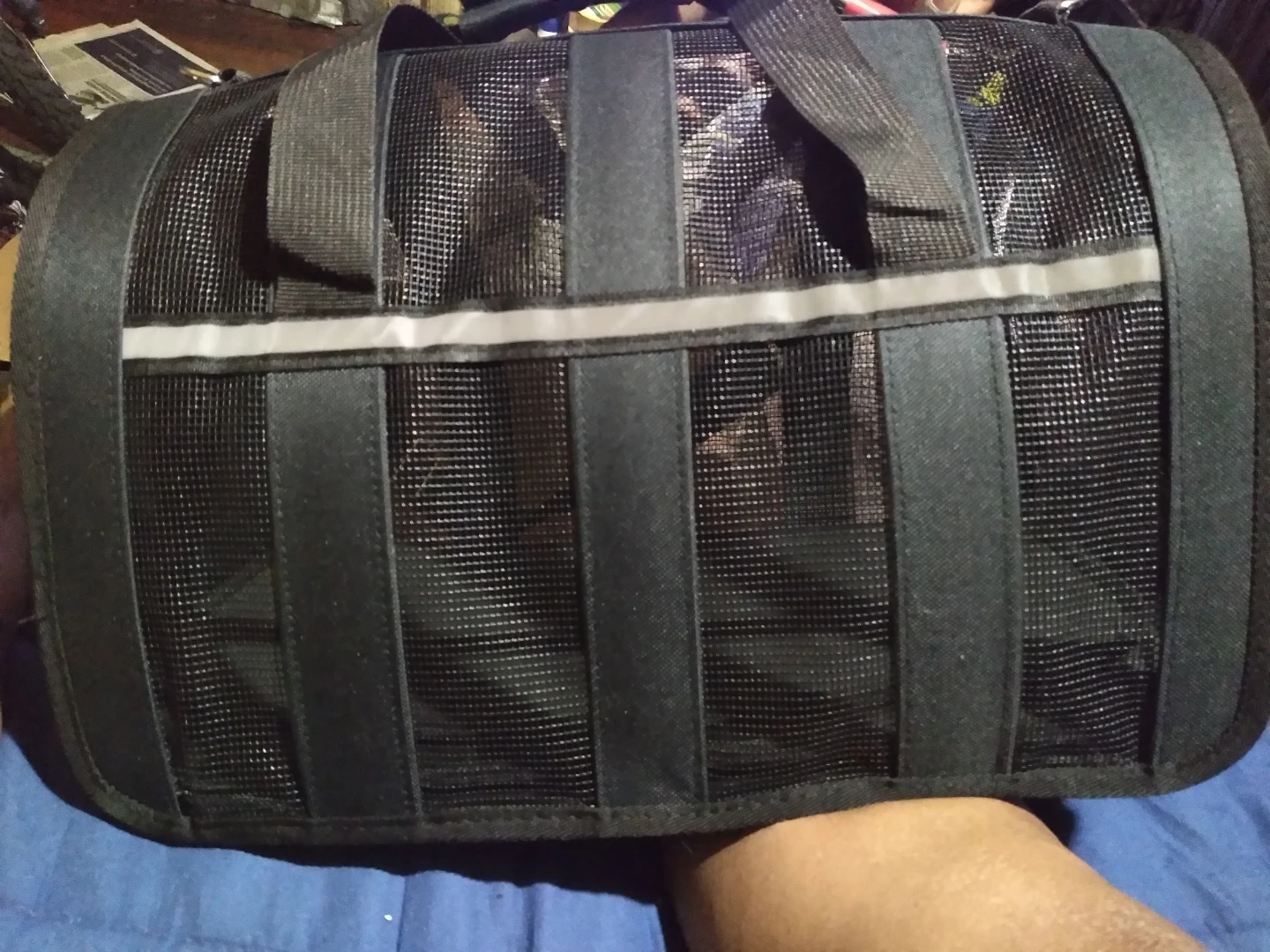 Black Pet Carrier