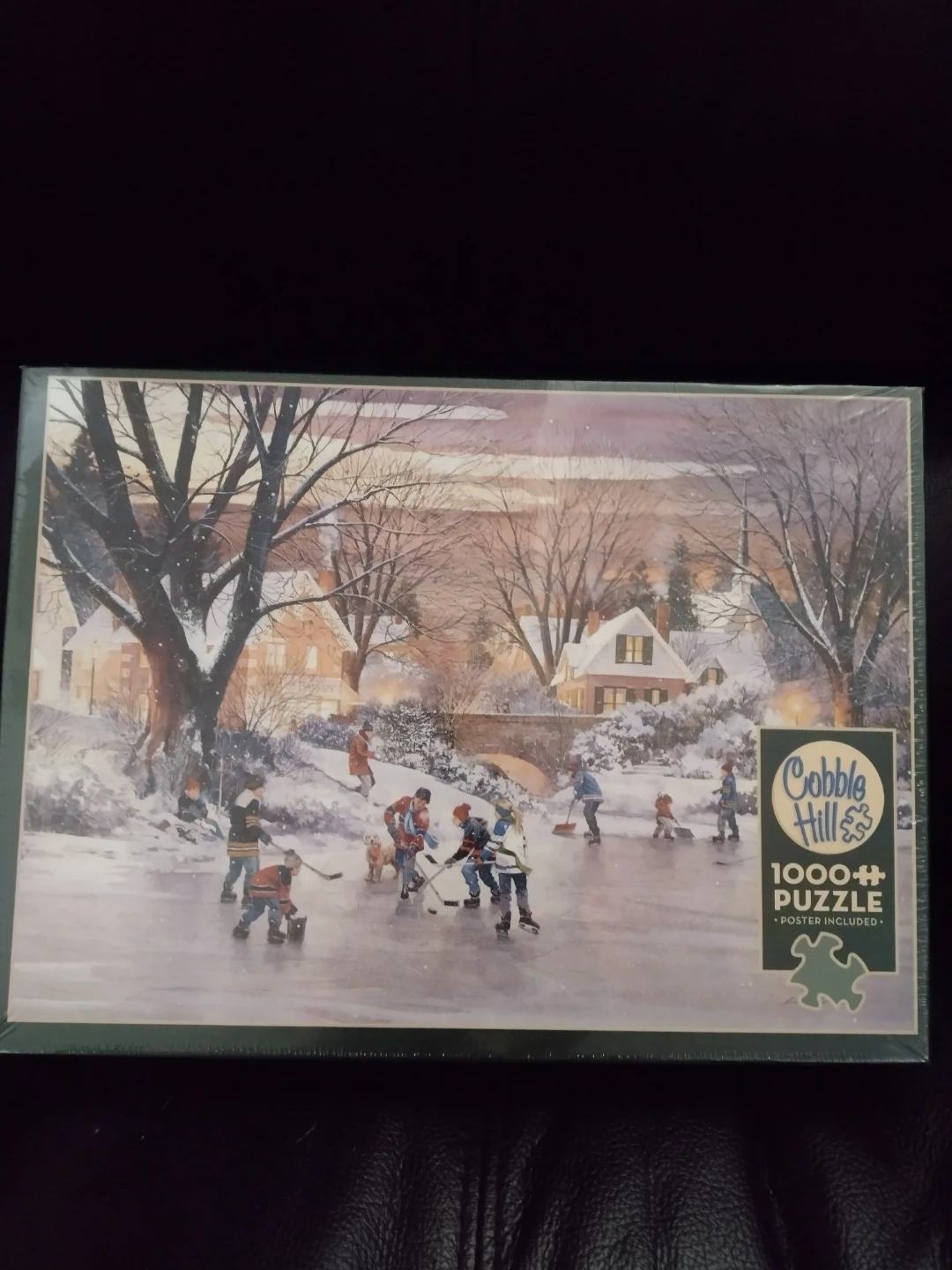 Cobble Hill 1000+ Piece Puzzle - Hockey