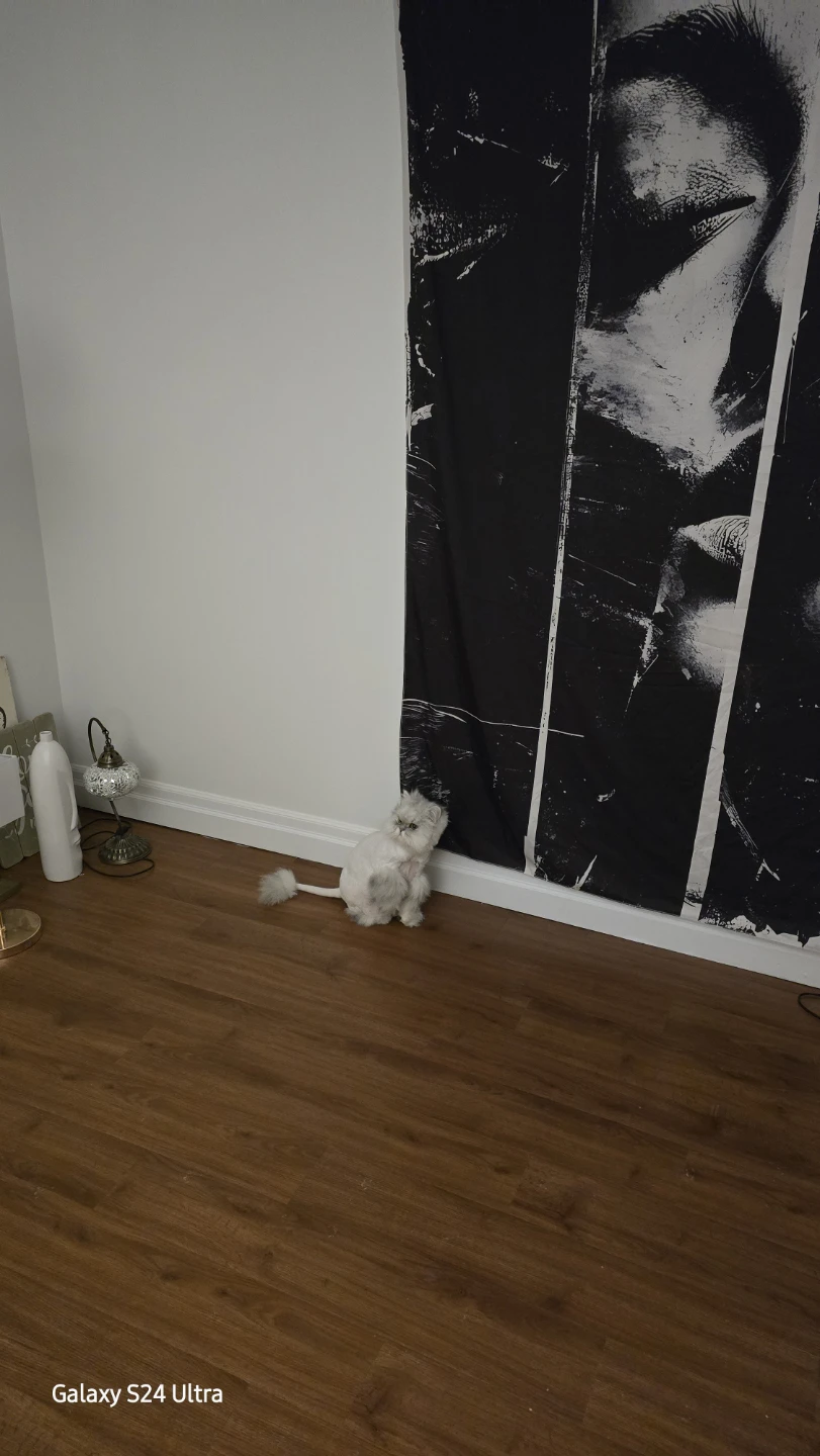 Wall Tapestry - Black and White - photo 4