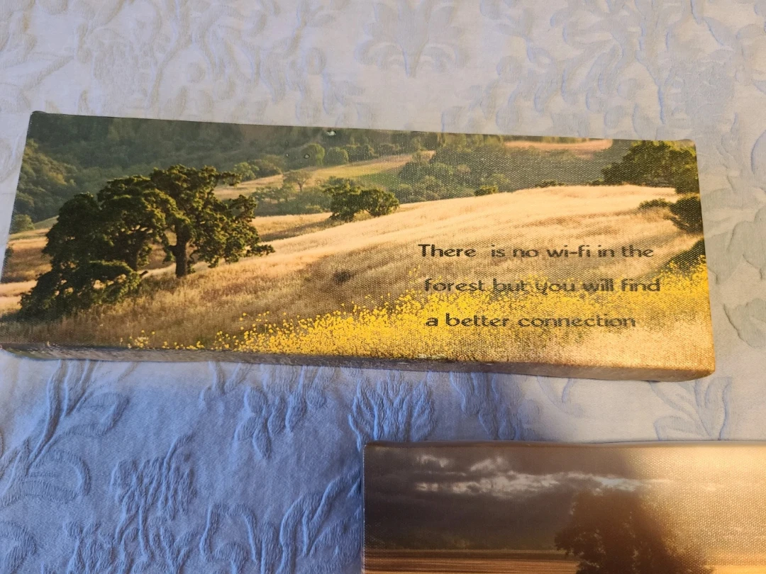 2 Wall Art Canvases - Nature Theme - photo 3