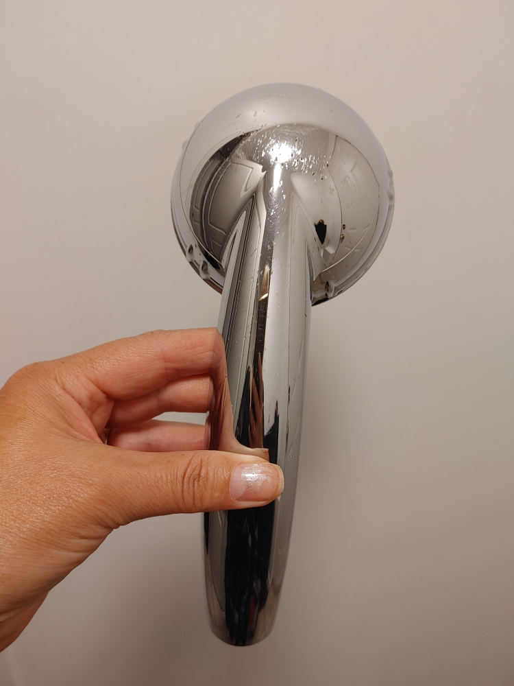 Chrome Handheld Shower Head
