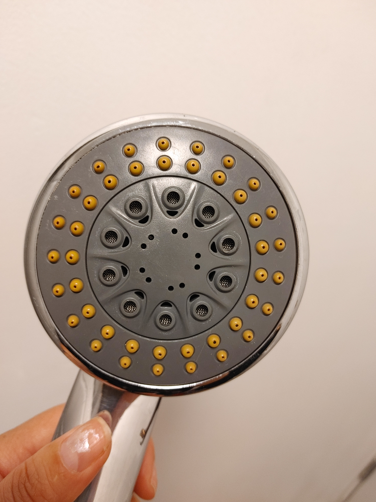 Chrome Handheld Shower Head - photo 2