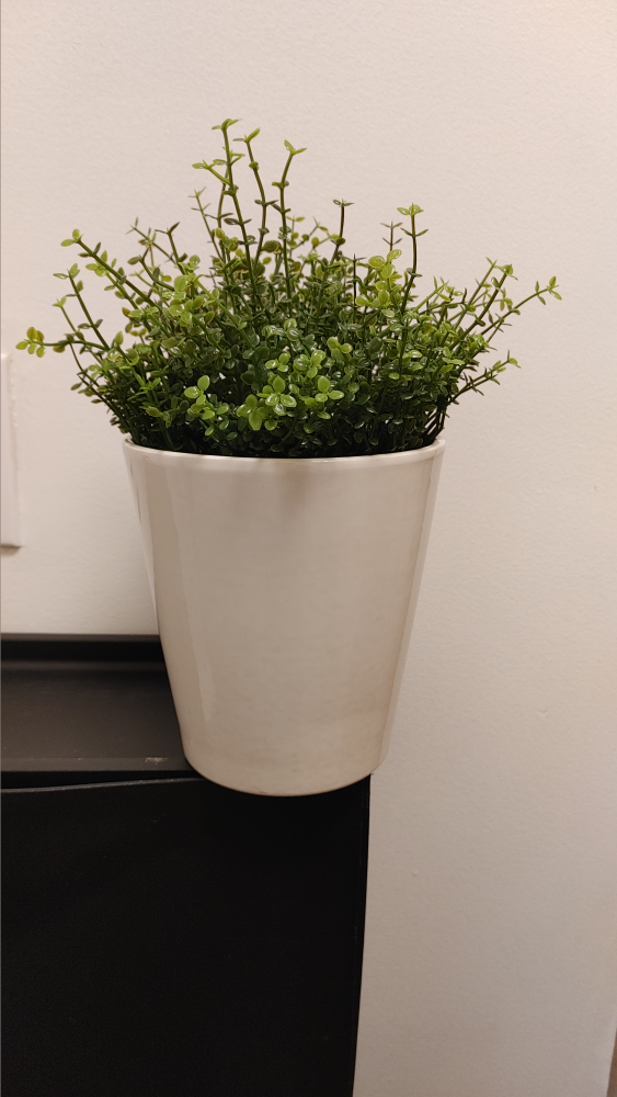 Artificial Plant in White Pot