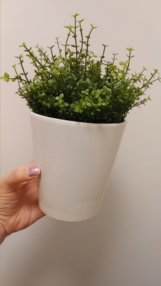 Artificial Plant in White Pot - photo 3