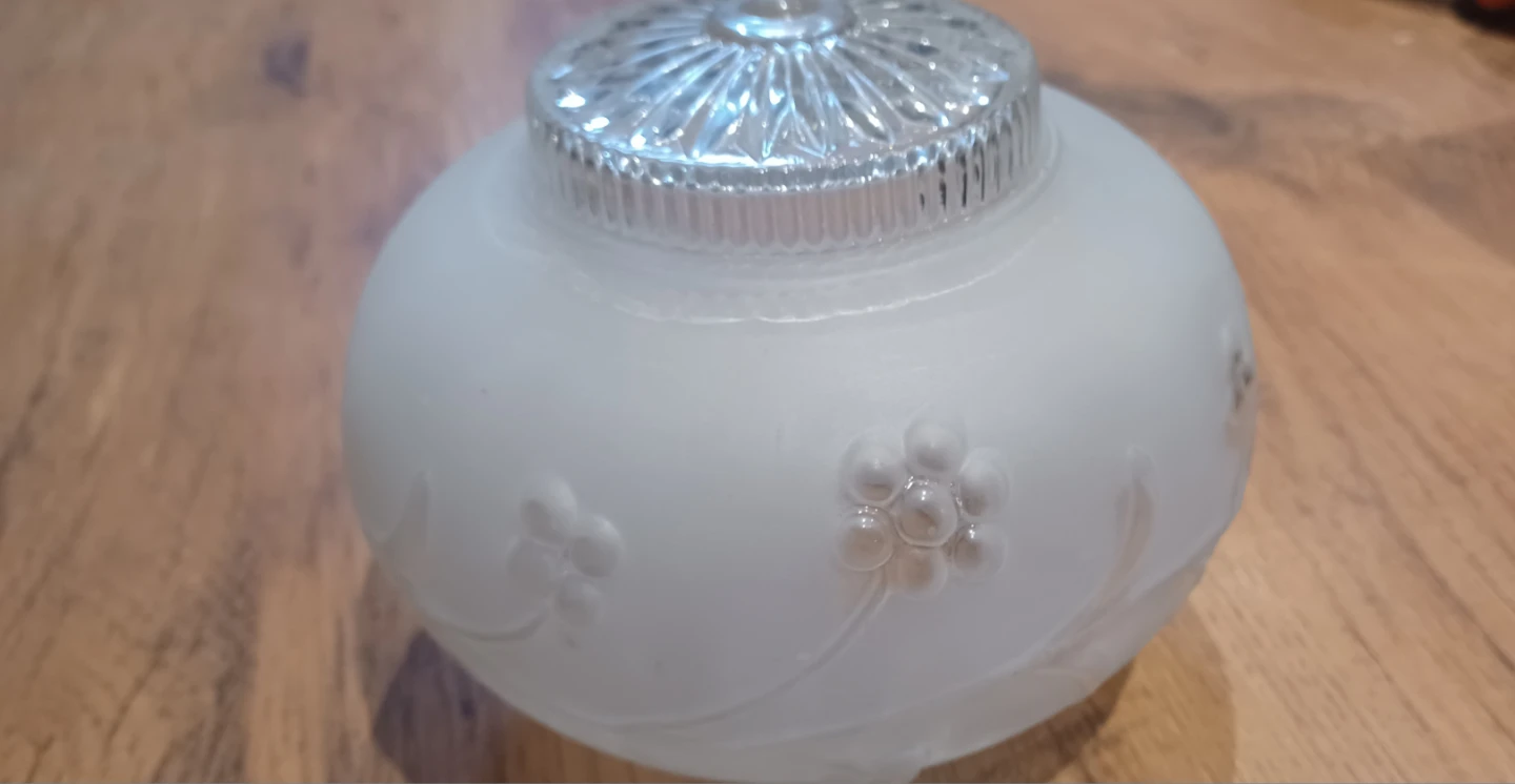 Light Fixture Globe