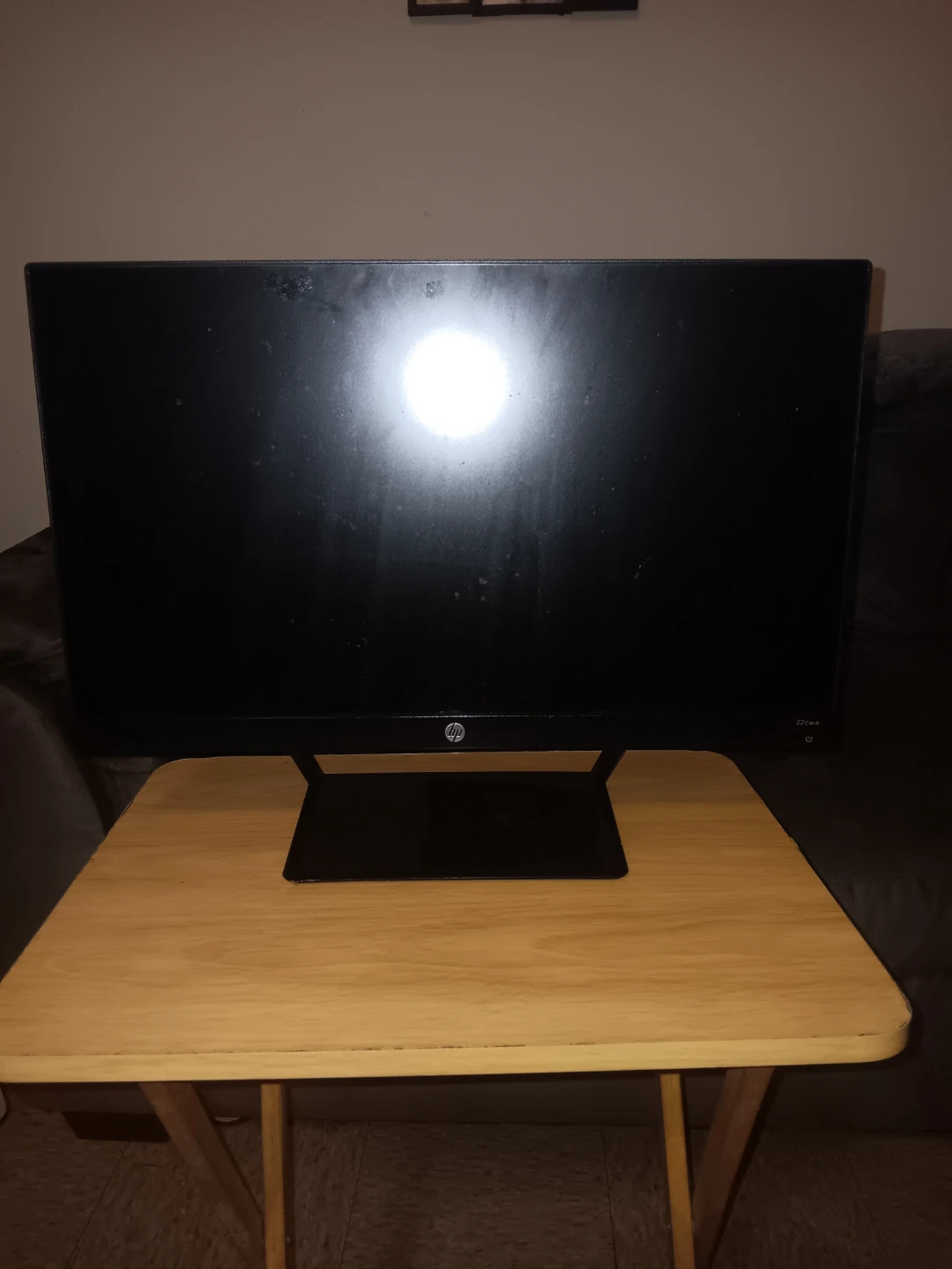 HP 22cw Monitor