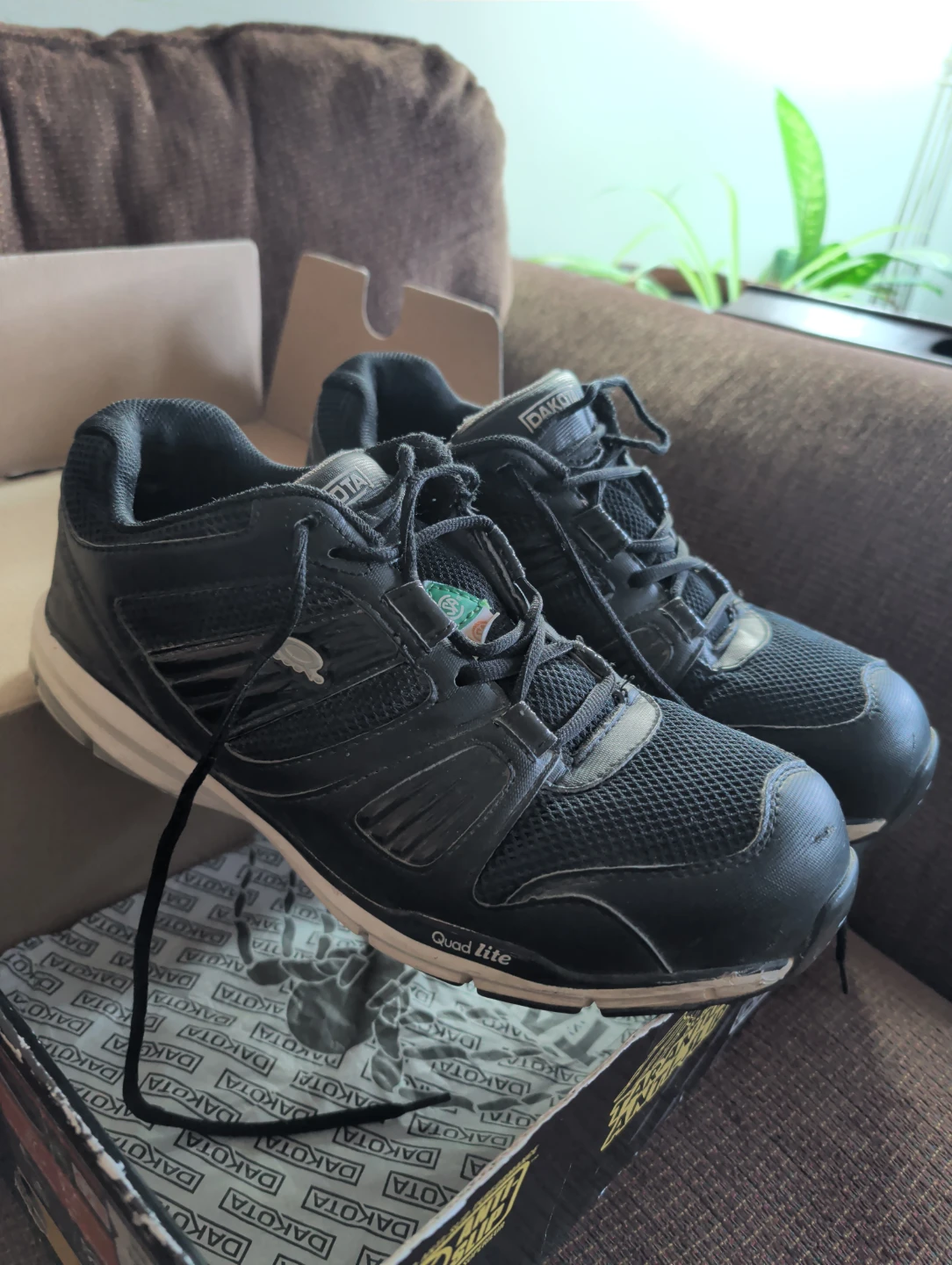 🥕 Dakota Quad Lite steel toe Shoes Size 11 Black 🥕