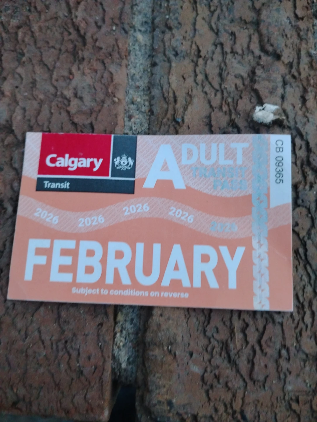 Calgary Transit Adult February Pass 2026