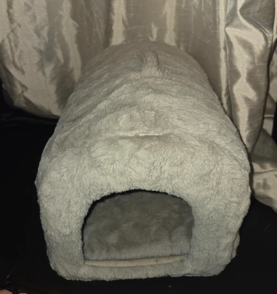 Cute cat hide away house