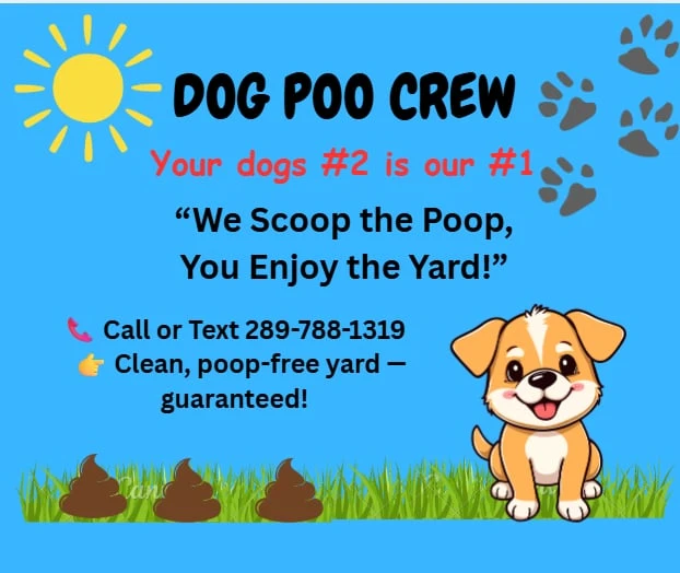 They poop we Scoop - photo 4