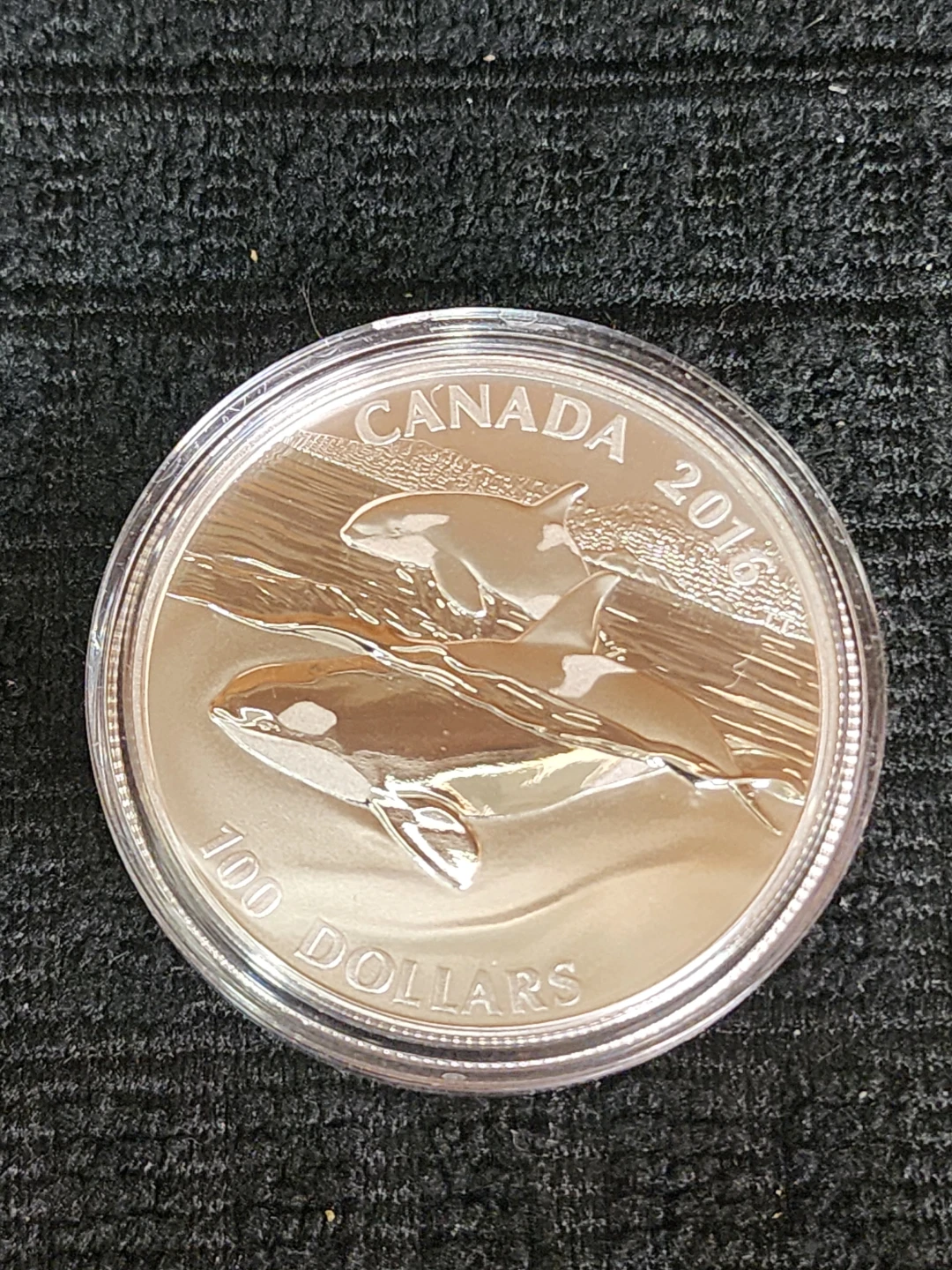 2016 Canada $100 Dollars Silver Coin