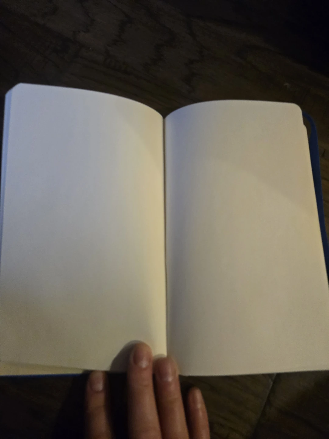 LEGO Ideas Blue Notebook - photo 3