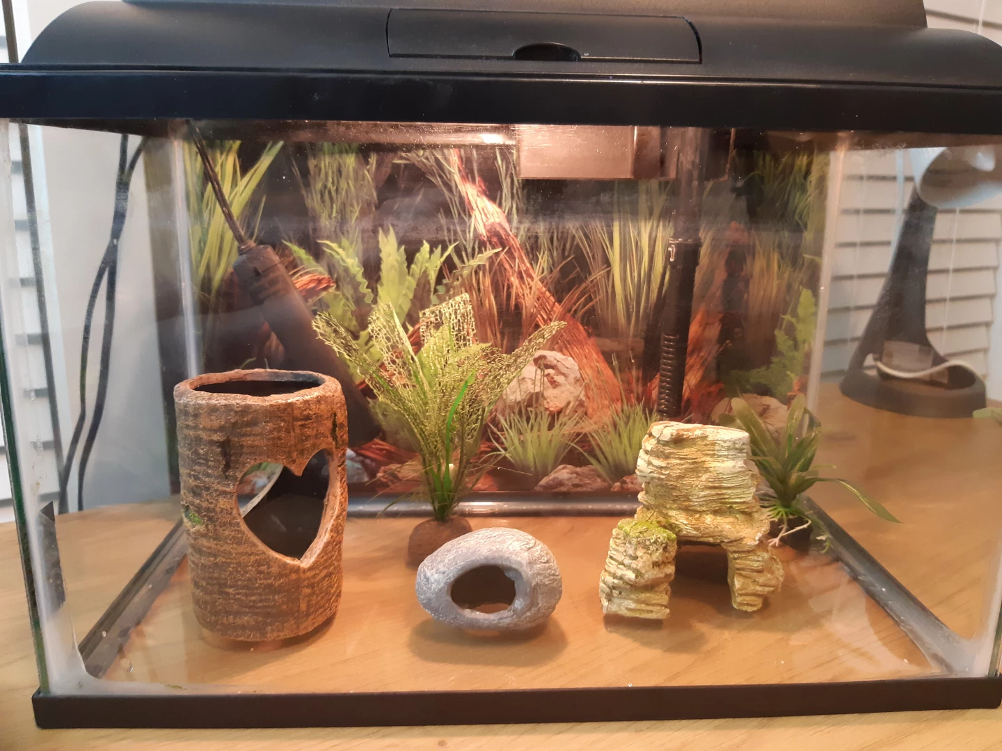 Topfin 10 Fish Tank with Accessories