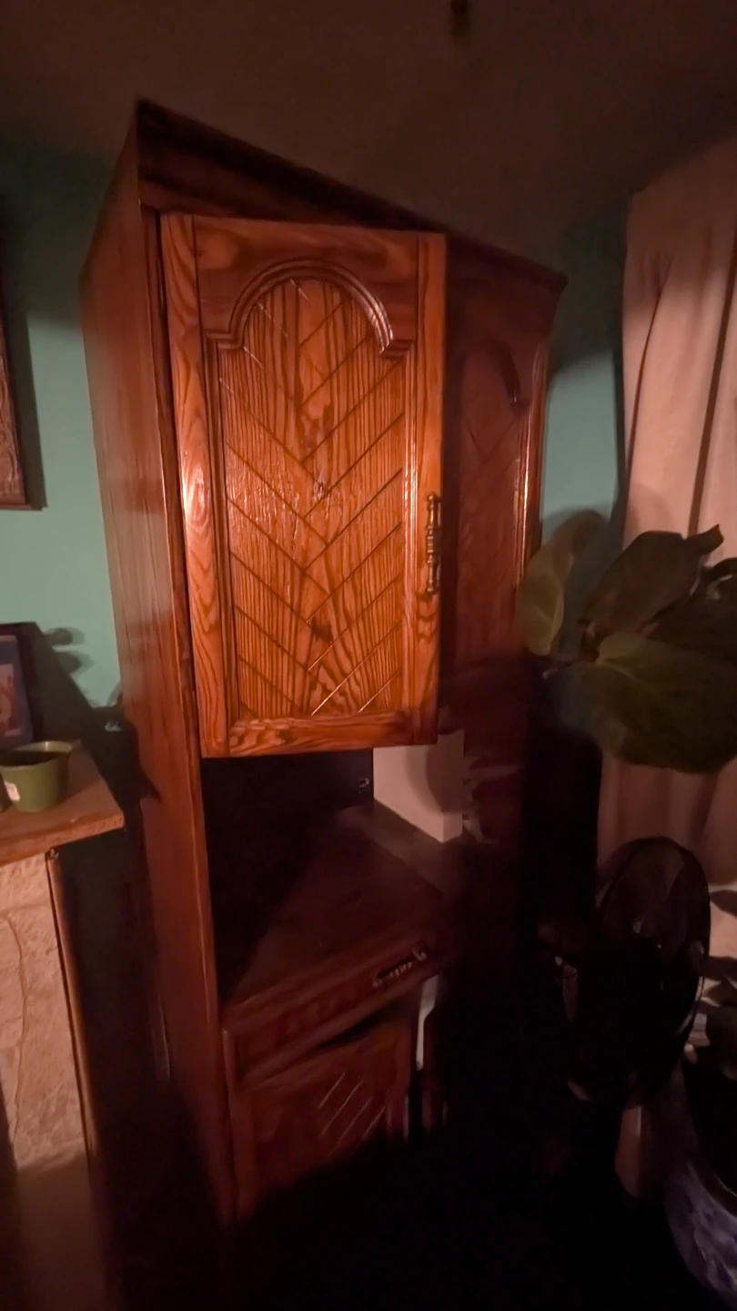 Solid Wood Corner Cabinet
