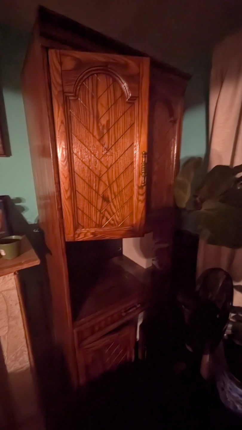 Solid Wood Corner Cabinet - photo 4