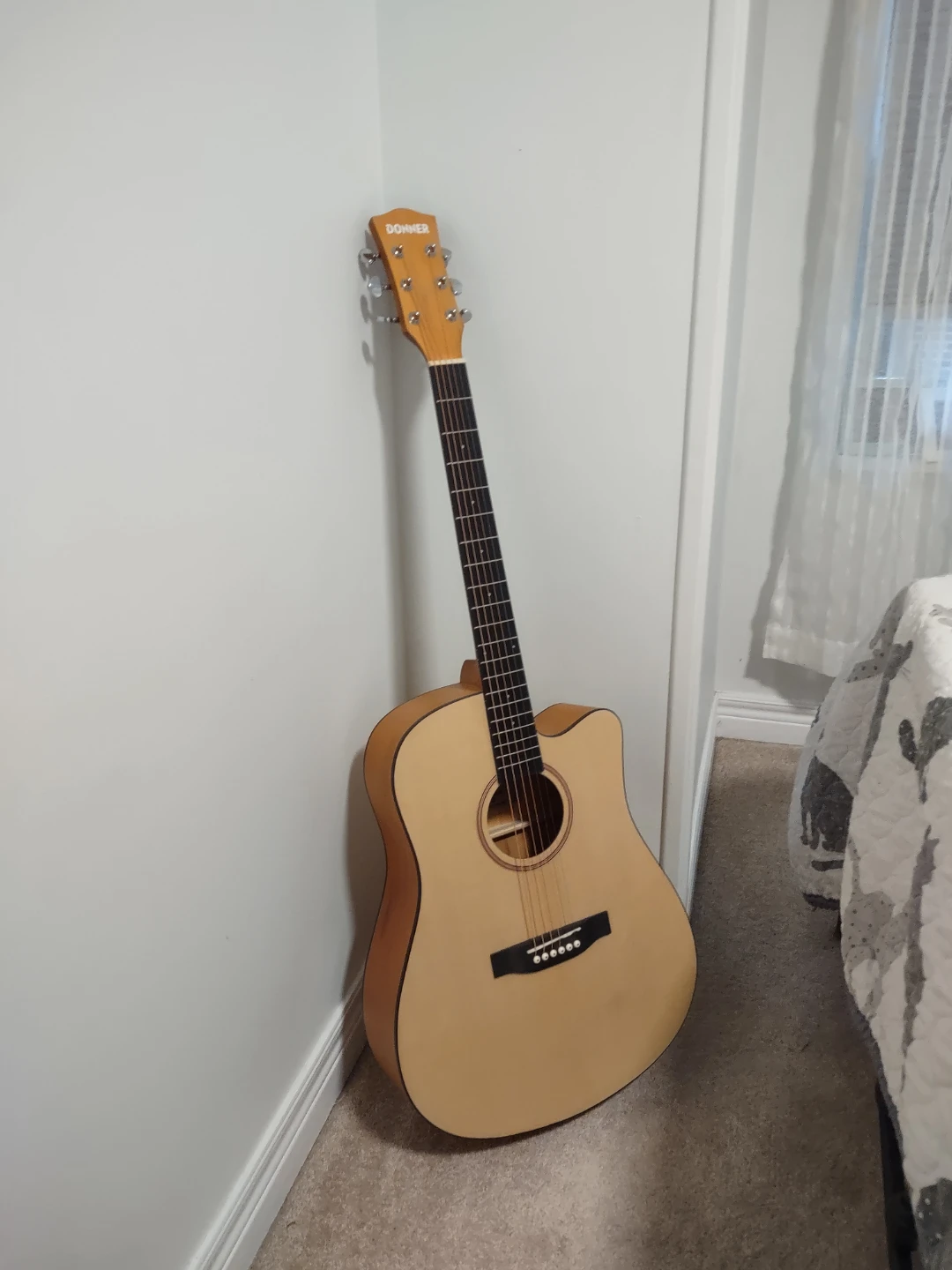 Donner Acoustic Guitar with Gig Bag