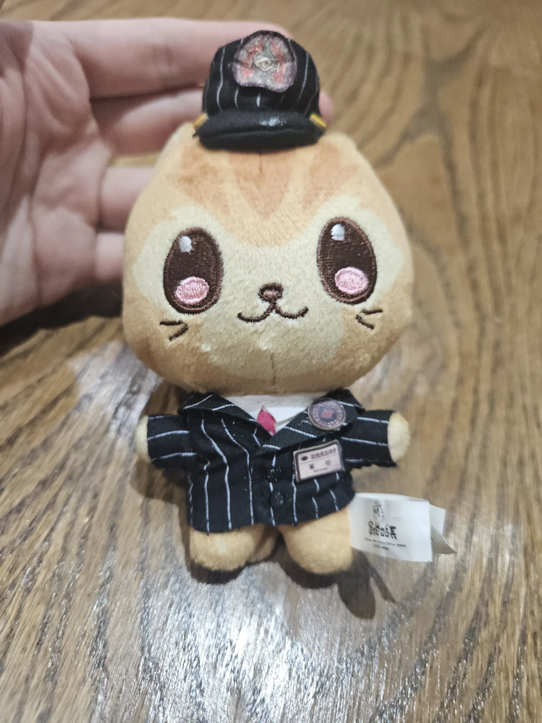 Kaohsiung Metro station master cat plush keychain from Taiwan 🥕 - photo 2