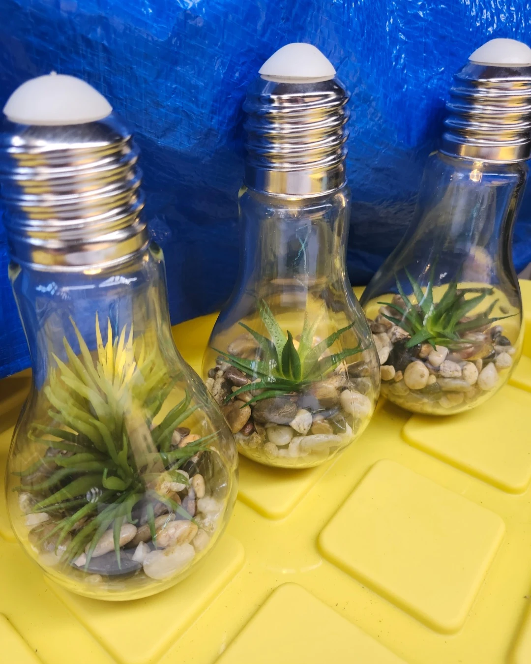 Light up ..Light Bulb Terrariums - Set of 3 - photo 4