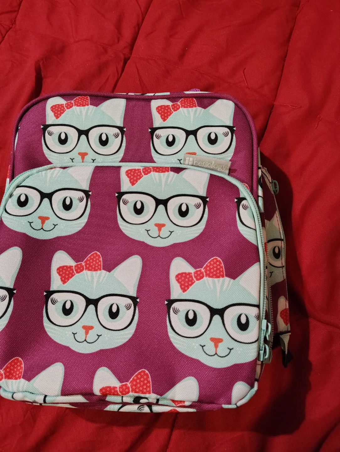 Bentology Lunchbox with Cat Pattern