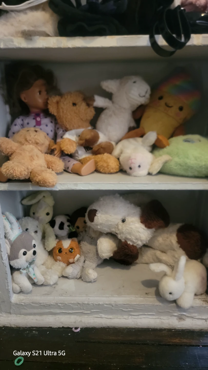 Stuffed animals